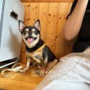 도화별장 이미지