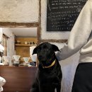 스테이 쉬온 이미지