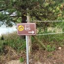 고대도6 이미지