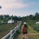 혁이목장 이미지