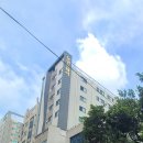 노연스테이 이미지