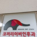 코끼리이비인후과의원 | 광명사거리 이비인후과 (코끼리이비인후과의원)