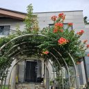 숲실의 집 이미지