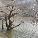 김서방대게수산 이미지