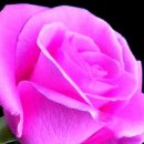 8월 21일 목요일 간추린 뉴스와 날씨 이미지