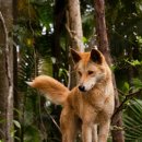 가온 동물병원 이미지