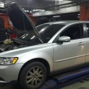 프로카센타 이미지