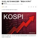 코스피, 사상 첫 9000선 돌파…"韓 증시 새 역사" 이미지