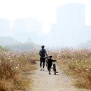 영상으로 떠나는 힐링여행 이미지