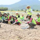 이창재농장 이미지