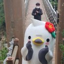 욕지 출렁다리 이미지