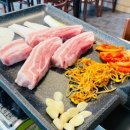 돈벼락맞은돼지