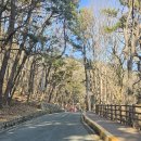 빼빼만덕 이미지