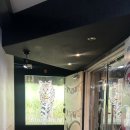 사바나 코쉬카 | 부천 고양이카페 신중동 사바나코쉬카 방문후기