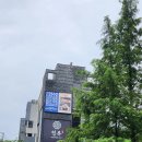 띵가띵가 음악아 놀자~(음악 레크리에이션) | [7월/서울] 1박 2일 은평 한옥마을 나들이(은평 한옥마을, 청류, 1인 1잔, 한옥 카키 숙박, 떡산)