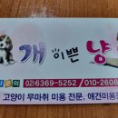 개이쁜냥 이미지