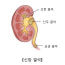 블루비뇨기과의원 - 수원시 영통구 도청로17번길 10 | 블루비뇨기과의원