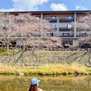 마을관리 휴양지 | 일본 소도시 여행 코스 야마구치 나가토유모토 온천마을