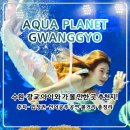 하나교 생태통로 앞 | 광교 아쿠아플라넷 후기｜주차·할인·공연 시간표, 노보텔 수원에서 다녀온 반나절 코스