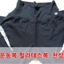 천상여우 이미지