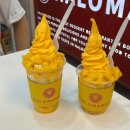 보홀여행 day2 알로나비치 보스카페 I 망고 아이스크림 맛집 할로망고
