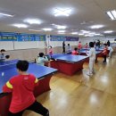 만덕동 백양생활체육관 | 🏓 새해의 시작을 함께 열다 (손민영탁구클럽 × 천호탁구교실)