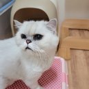 한스동물병원 이미지