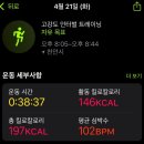 보이네애드 | 유행따라 맛따라