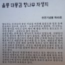 경북 울릉도 이미지