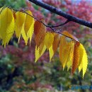 청운공원 이미지