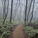 관음사입구 | 한라산 관음사-성판악 코스 후기 추천 소요시간 4월