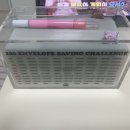 나 요즘 세이빙챌린지 한다 이미지