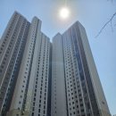 신반포자이아파트 | 신반포메이플자이 임장후기 2025.04