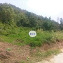 광시면010 Daum카페
