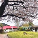 모하 네이버블로그