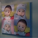 플라잉 브러쉬 이미지