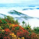 설악산천연보호구역 Daum카페