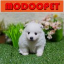 모두와샵 이미지