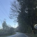 석현로 16번길6-2 | [강원 원주/캠핑] 원주캠핑장 마루노리 캠핑장16번 자리 후기 단풍뷰 캠핑장, 전기, 화장실, 개수대 등...