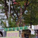 방화한진로즈힐(아) | 이마트 트레이더스 88옛날 치킨 양도굿 맛도굿 (날개랑 다리가 8개씩)