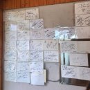 본토 | 홍천 화로구이 닭갈비 점심 추천, 본토 닭갈비 후기 나눔