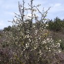 상천리-2 이미지