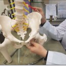 평촌부부한의원 이미지