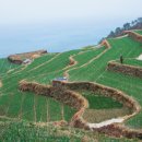 가천다랭이마을 이미지