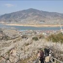 섬진농원 이미지