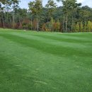 마스터골프아카데미 이미지