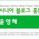 논산승마월드논산시승마협회 이미지