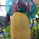 정보농장 이미지