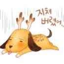 시유기획 이미지