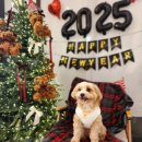 봉구랑 도도 이미지